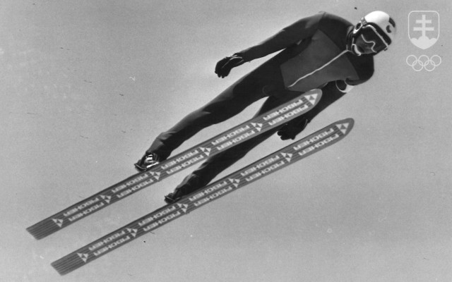 Počas takmer celej kariéry Martin Švagerko skákal klasickým štýlom s paralelným vedením lyží vo vzduchu, až na posledné dve sezóny sa musel preškoliť na V-štýl.