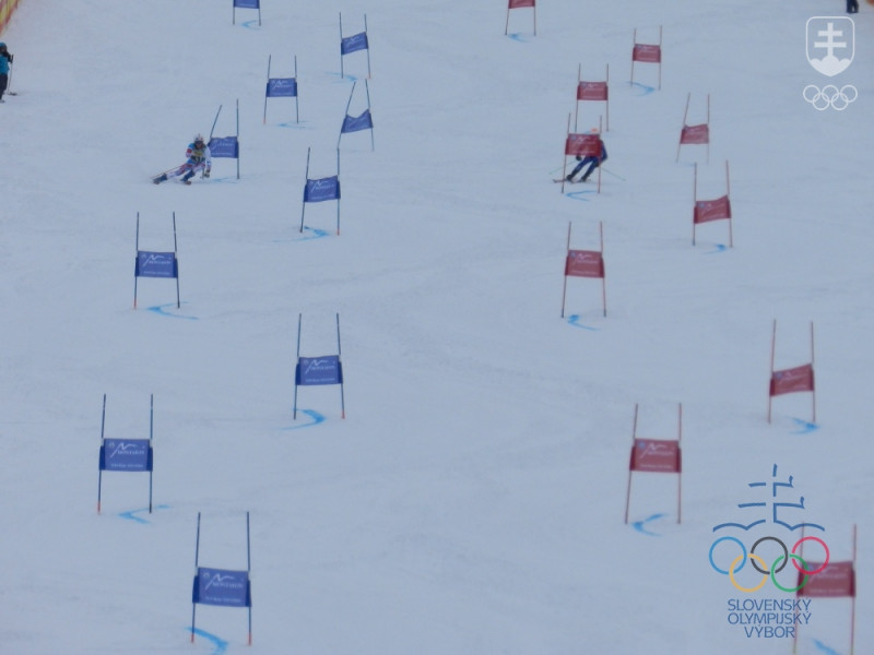 FOTOGALÉRIA: XII. zimný európsky olympijský festival mládeže Vorarlbersko & Lichtenštajnsko 2015