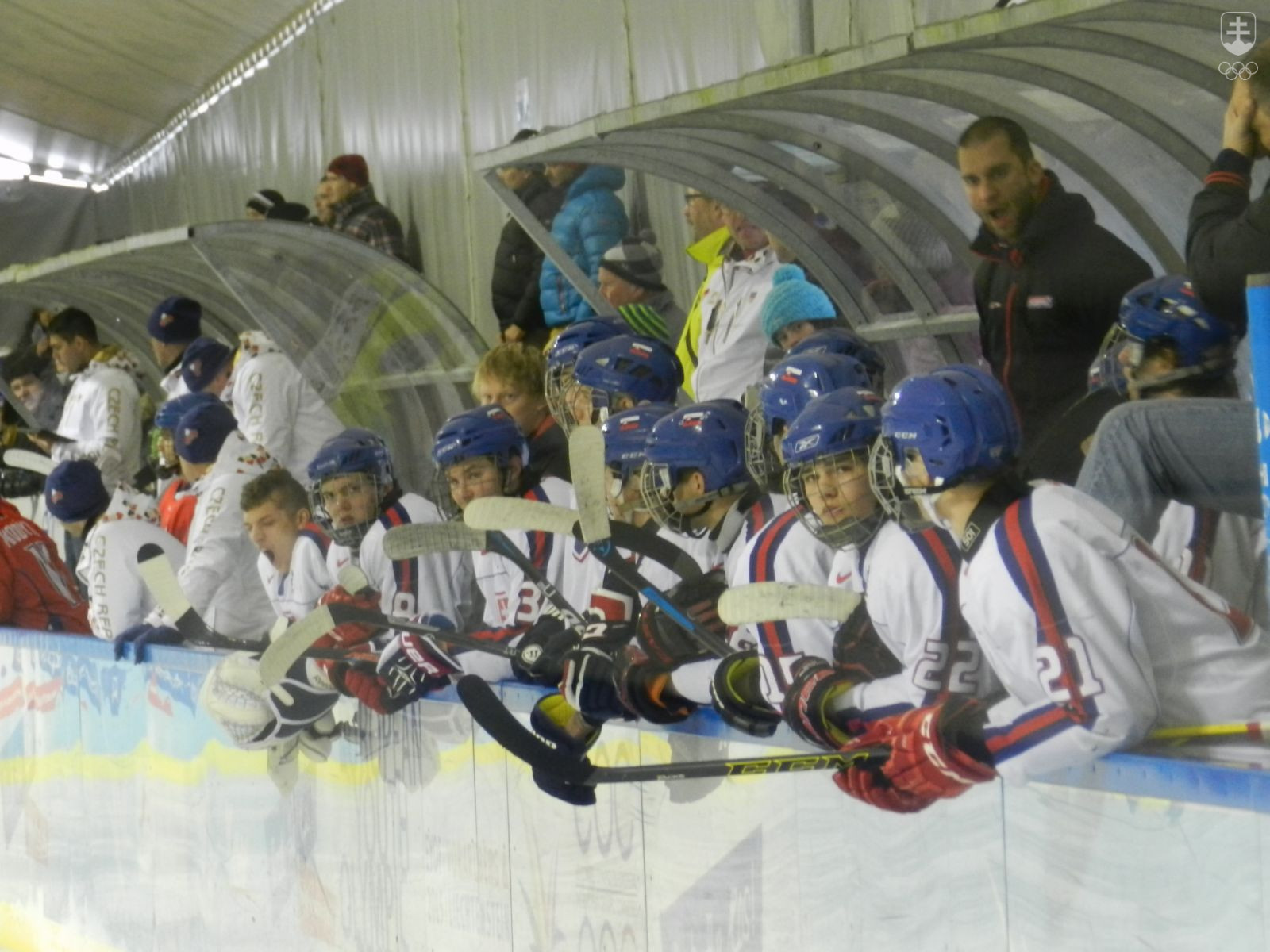 Naši hokejisti počas zápasu s Čeksom. FOTO: MOJMÍR GAŠKO