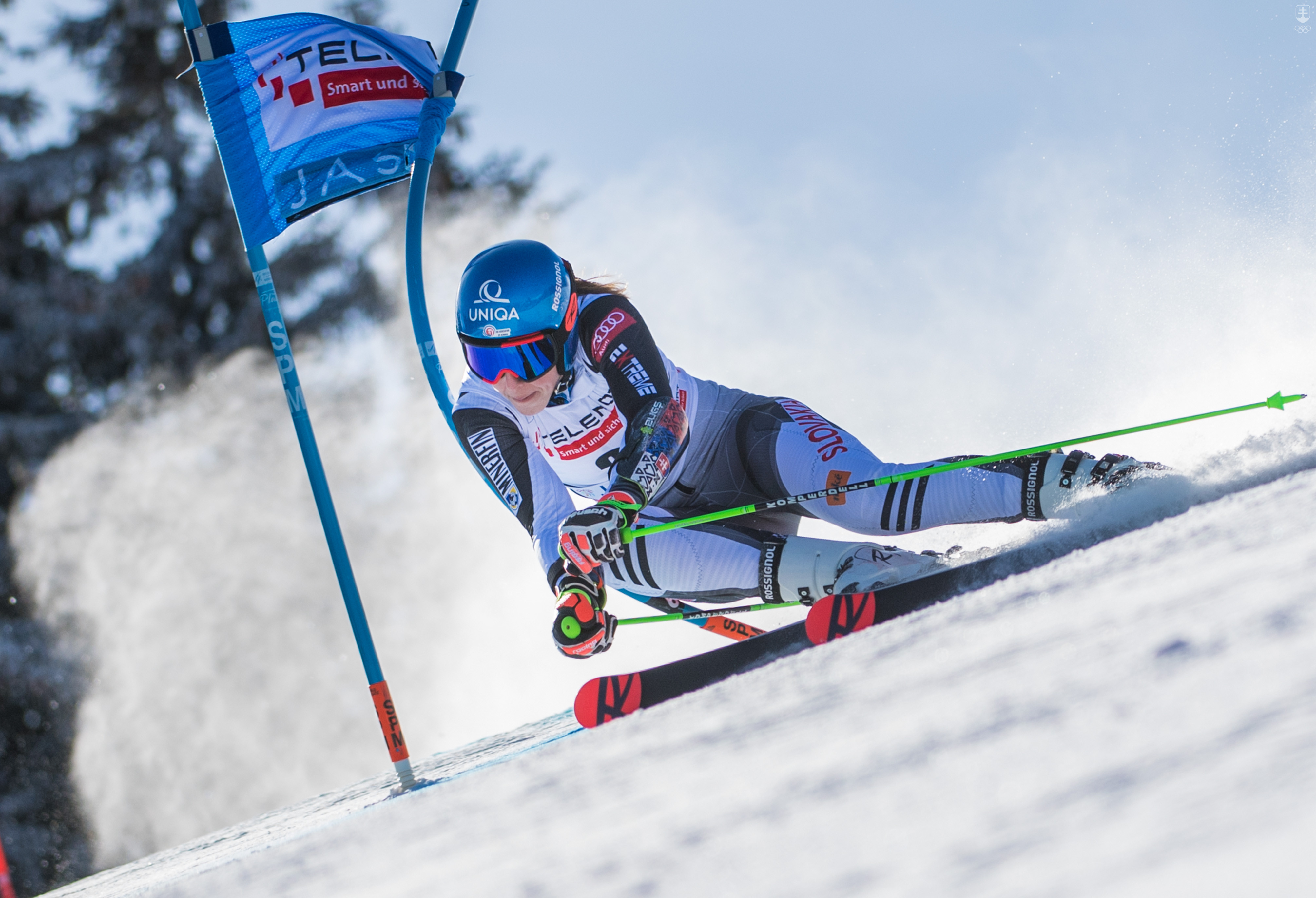 Petra Vlhová na trati obrovského slalomu SP v Jasnej. 