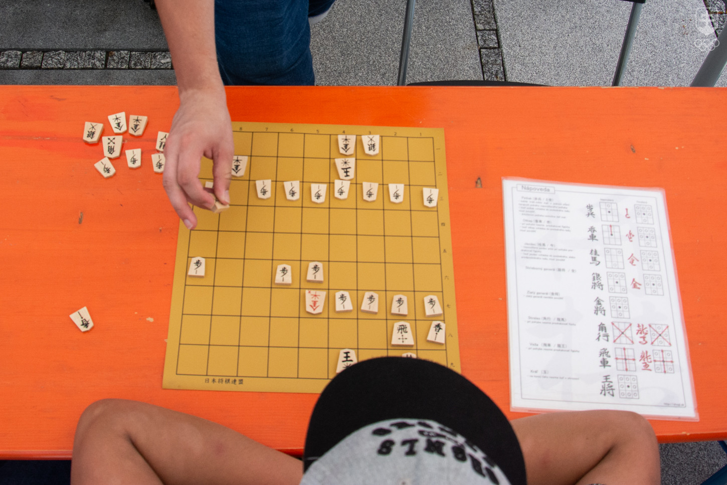 Šógi sa hrá na šachovnici o veľkosti 9x9 políčok. 