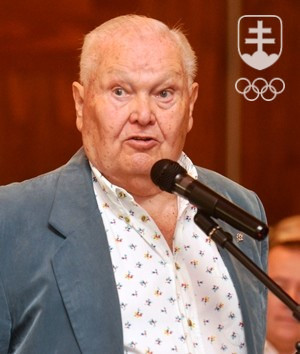 Na valných zhromaždeniach SOV/SOŠV sa Kamil Haťapka prezentoval ako vášnivý a neúnavný diskutér, ktorý stále apeloval na zriadenie samostatného štátneho orgánu pre šport, alebo aspoň samostatnú rozpočtovú kapitolu pre šport.